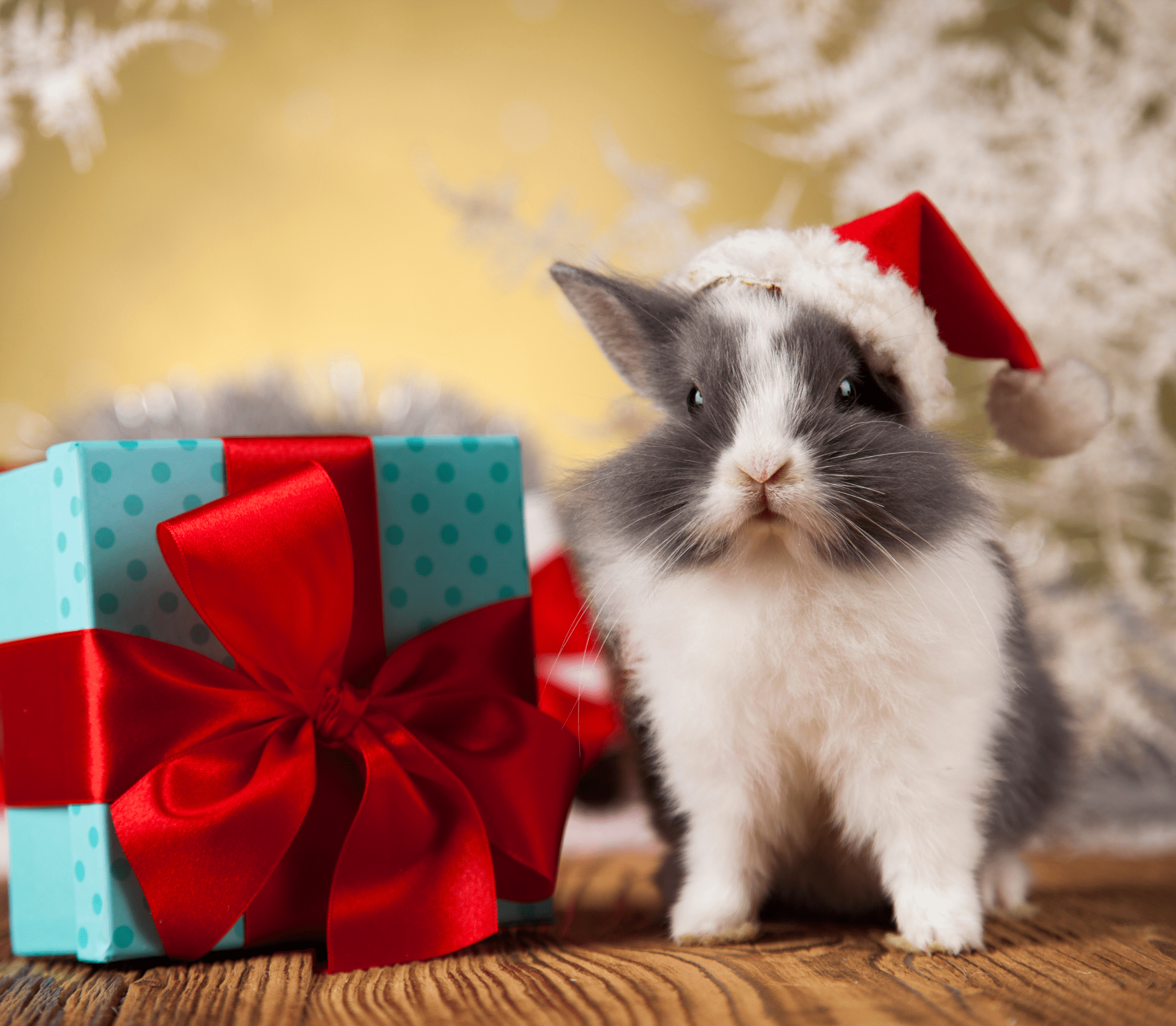 Grayish bunny with a blue gift with red big ribbon