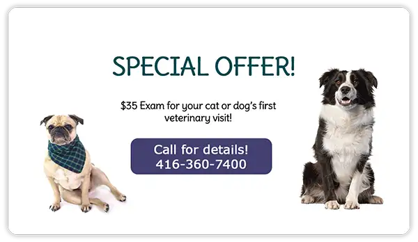 Special Offer! $35 Exam for your Cat or Dog’s First Veterinary Visit