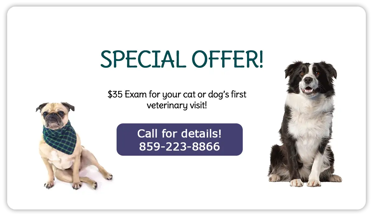 Special Offer! $35 Exam for your Cat or Dog’s First Veterinary Visit