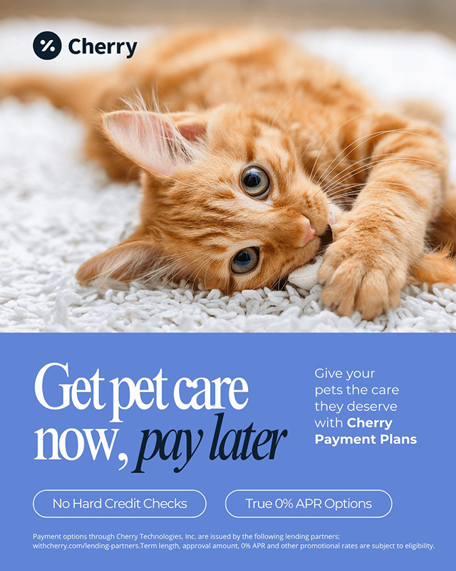 Give your pet the care they deserve with Cherry Payment Plans