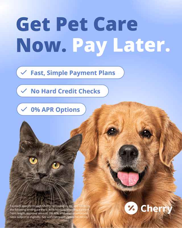 Give your pet the care they deserve with Cherry Payment Plans